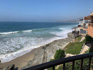 Meet your Posher, Shayna